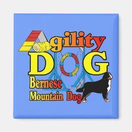 Bernese Agility Gifts Magnet