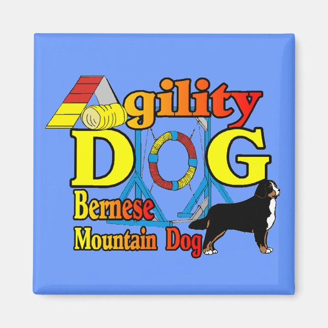 Bernese Agility Gifts Magnet (Vorne)
