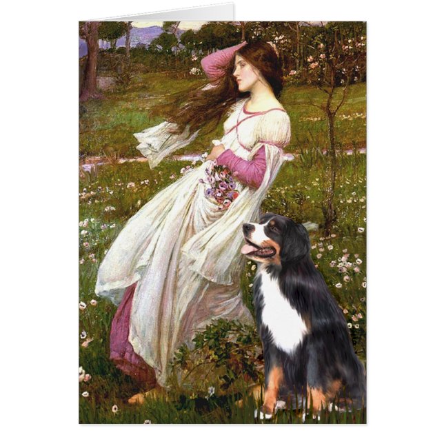 Bernese - Blumen (Vorne)