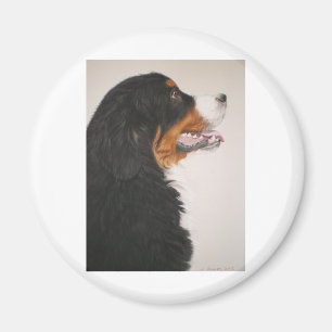 Bernese Gebirgshund 2 Magnet