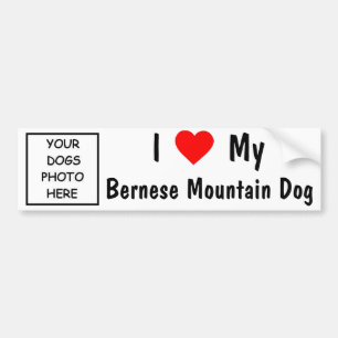 Bernese Gebirgshund Autoaufkleber