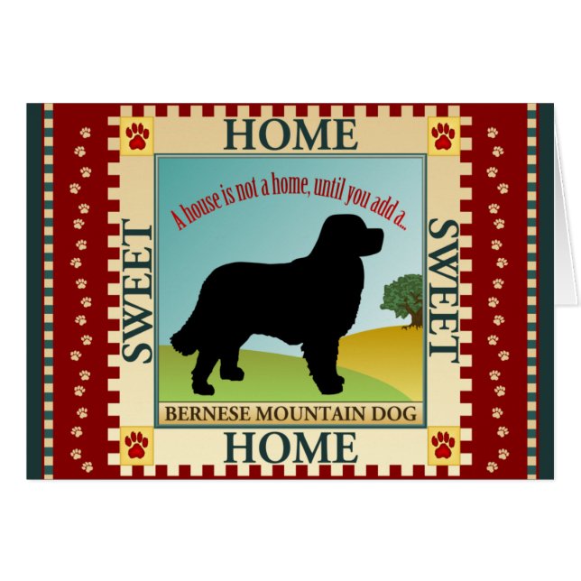 Bernese Gebirgshund [Berner] (Vorderseite (Horizontal))