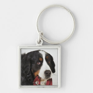 Bernese Gebirgshund (Berner Sennenhund) mit Schlüsselanhänger