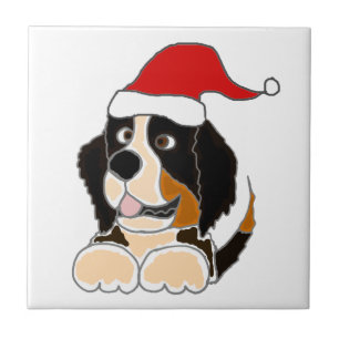 Bernese Gebirgshund in der Fliese