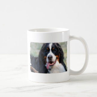 Bernese Gebirgshund mit der großen Tasse