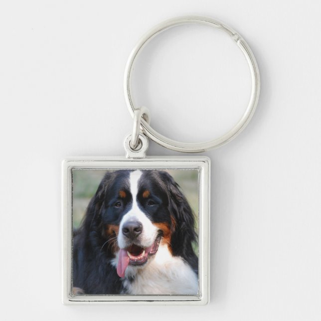 Bernese Gebirgshund mit großem Schlüsselanhänger (Vorne)