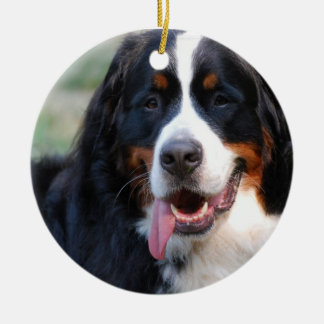 Bernese Gebirgshund mit großen Zunge-Verzierungen Keramik Ornament