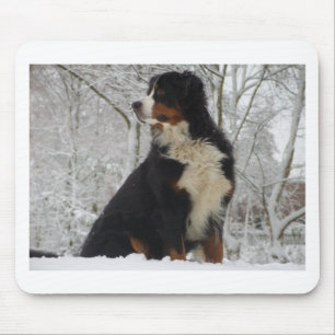 Bernese Gebirgshund Mousepad
