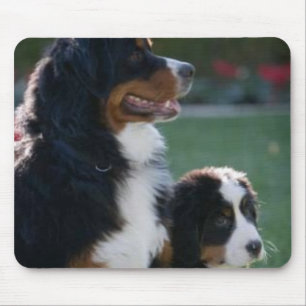 Bernese Gebirgshund Mousepad