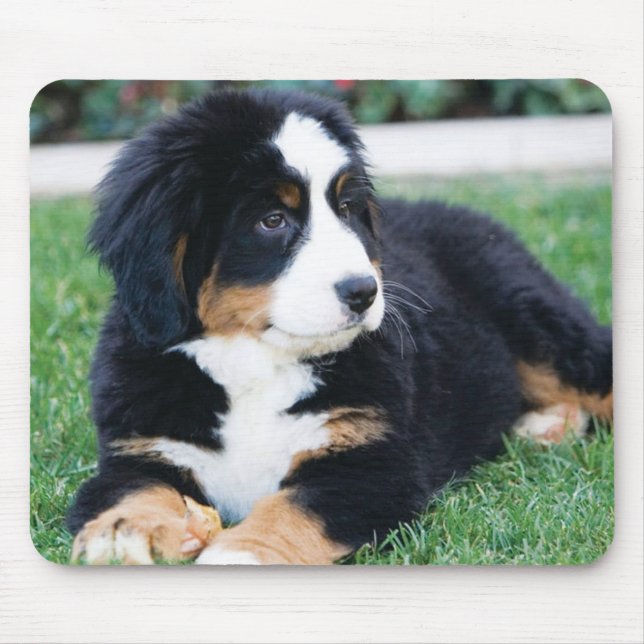 Bernese Gebirgshund Mousepad (Vorne)
