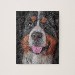 Bernese Gebirgshund Puzzle
