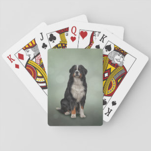 Bernese Gebirgshund Spielkarten