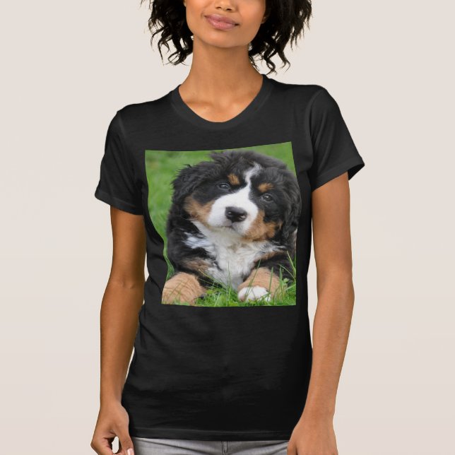Bernese Gebirgshund T-Shirt (Vorderseite)
