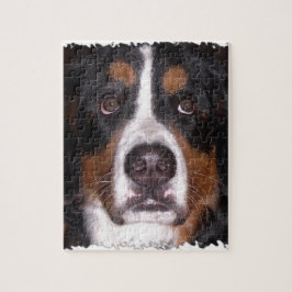 : Bernese Gebirgshunde" "großer Hunde" Hund Puzzle