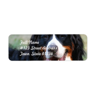 Bernese Gebirgshundeaufkleber