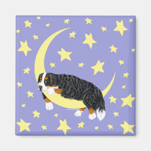Bernese GebirgshundeFunkeln-Magnet Magnet