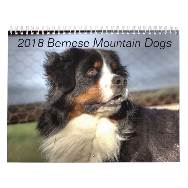Bernese Gebirgshundekalender 2018 Kalender (Titelbild)