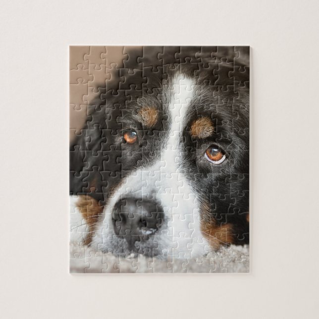 bernese Gebirgshundelegen Puzzle (Vertikal)