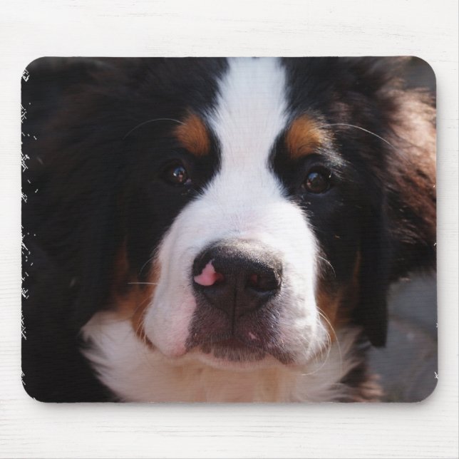 Bernese Gebirgshundemausunterlage Mousepad (Vorne)