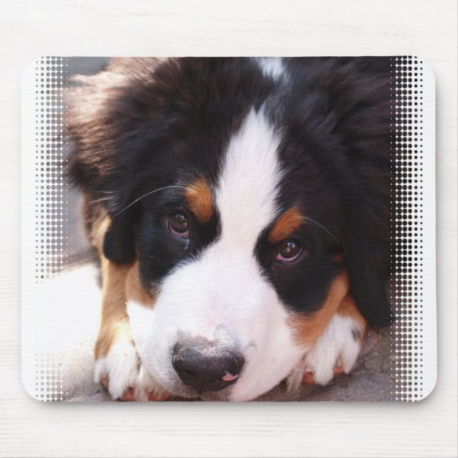 Bernese Gebirgshundemausunterlage Mousepad (Vorne)