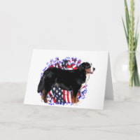 Bernese Gebirgshundepatriot