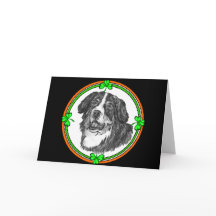 Bernese Gebirgshundest.-Klapse