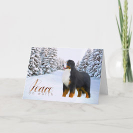 Bernese Gebirgshundeweihnachtskarte Feiertagskarte