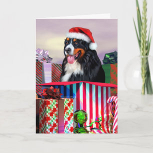 Bernese Gebirgshundeweihnachtsüberraschung Feiertagskarte