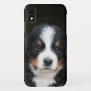 Bernese Gebirgshundewelpe iphone Xr Speck-Kasten Case-Mate iPhone Hülle