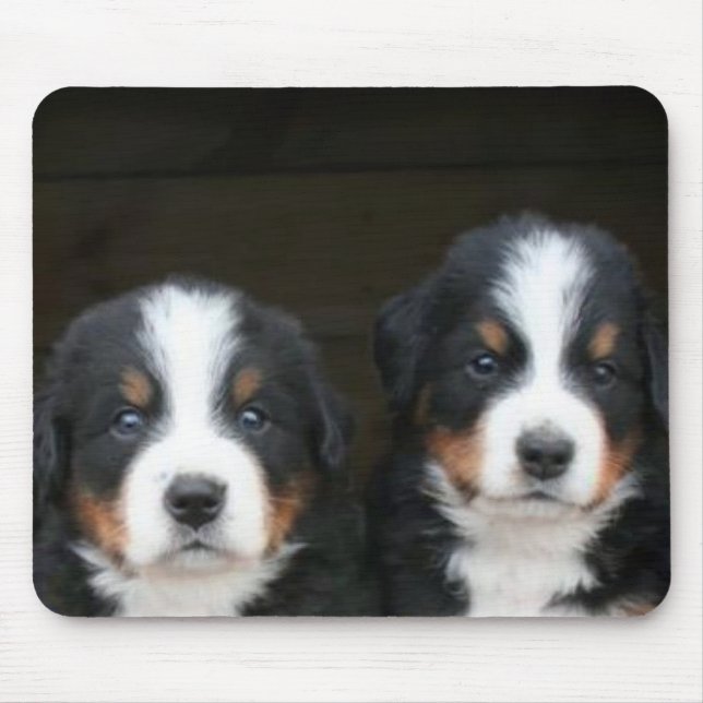 Bernese Gebirgshundewelpen mousepad (Vorne)