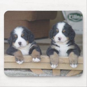Bernese Gebirgshundewelpenmäusematte Mousepad