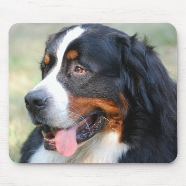 Bernese Gebirgswelpen-Mausunterlage Mousepad (Vorne)