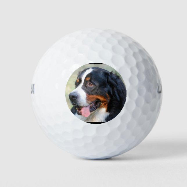 Bernese-Hund-10 Golfball (Vorderseite)