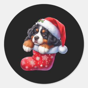 Bernese in Sock Weihnachten Weihnachtsmannmütze Xm Runder Aufkleber
