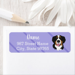 Bernese Mountain Dog