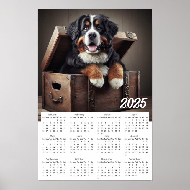 Bernese Mountain Dog 2025 Kalender Poster (Vorne)
