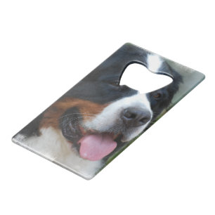 bernese-mountain-dog-7 kreditkartenflaschenöffner