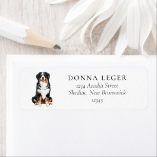 Bernese Mountain Dog Adresse
