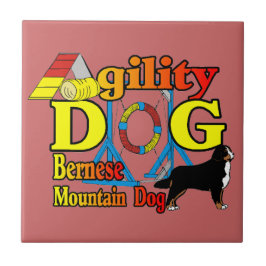 Bernese Mountain Dog Agility Fliese