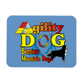 Bernese Mountain Dog Agility Magnet