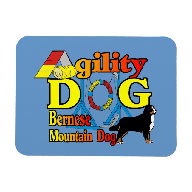 Bernese Mountain Dog Agility Magnet (Horizontal)