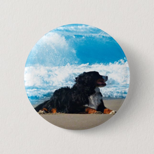 Bernese Mountain Dog am Strand Button (Vorderseite)