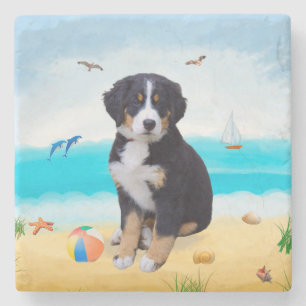Bernese Mountain Dog am Strand Steinuntersetzer