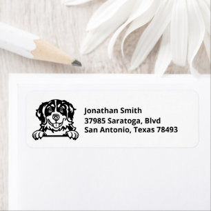 BERNESE MOUNTAIN DOG   Bild auf Rücksendeadresse