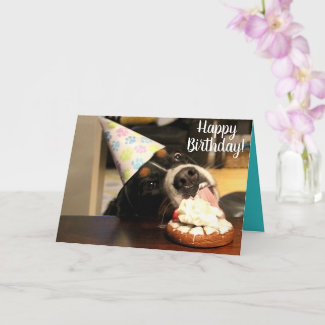 Bernese Mountain Dog Birthday Karte (Orchidee)