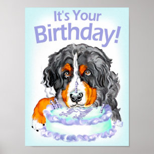 Bernese Mountain Dog Birthday Poster