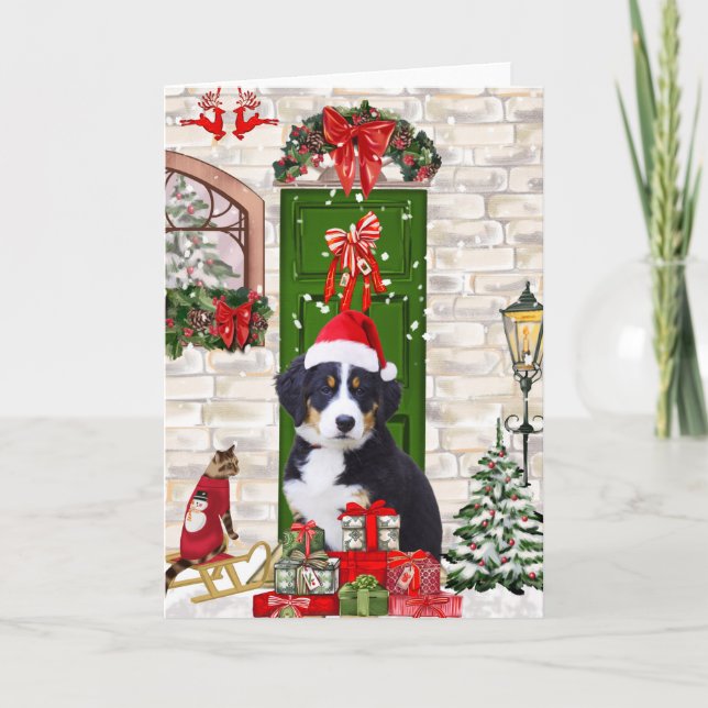 Bernese Mountain Dog Christmas Karte (Vorderseite)