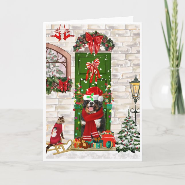 Bernese Mountain Dog Christmas Karte (Vorderseite)