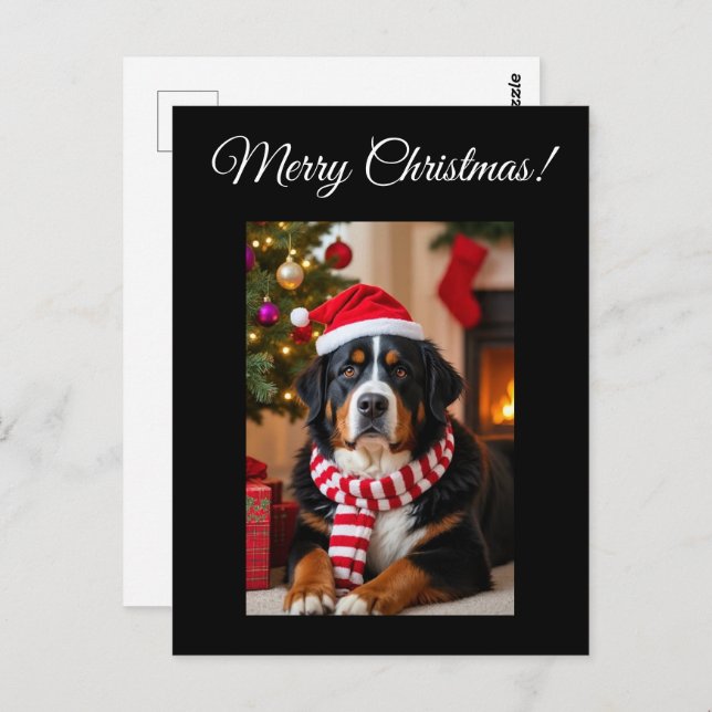 Bernese Mountain Dog Christmas Postkarte (Vorne/Hinten)