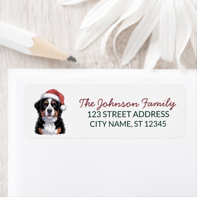 Bernese Mountain Dog Christmas Return Address      (Insitu)